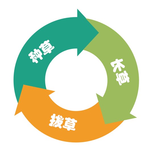 鸟哥笔记,广告营销,新媒体重点实验室,营销,策略,品牌推广