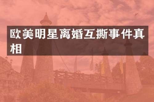 欧美明星离婚互撕事件真相