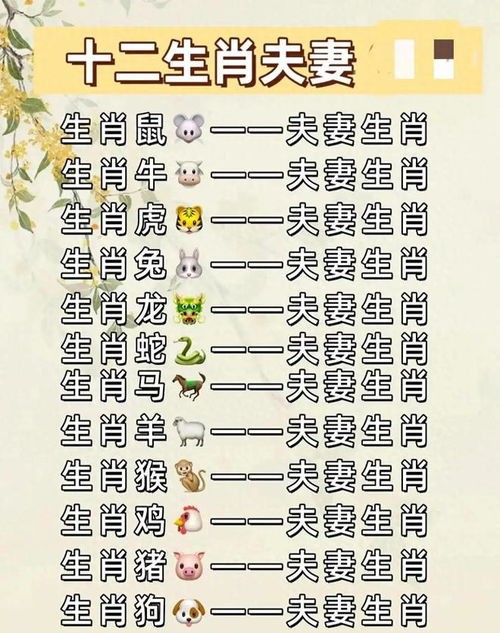 揭秘：属相与星座的完美搭配，你的生肖是哪位？
