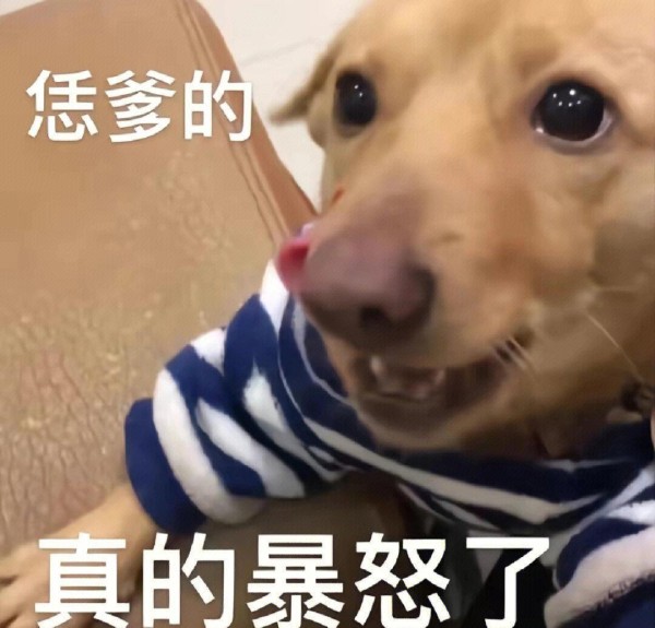 cp粉的那些“恶心”行为