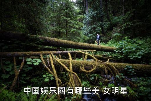 中国娱乐圈有哪些美 女明星