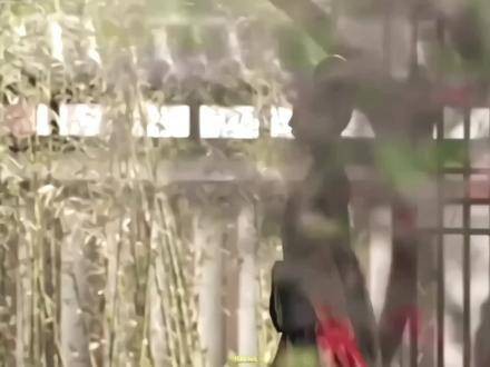 “情仇似水墨丹青”