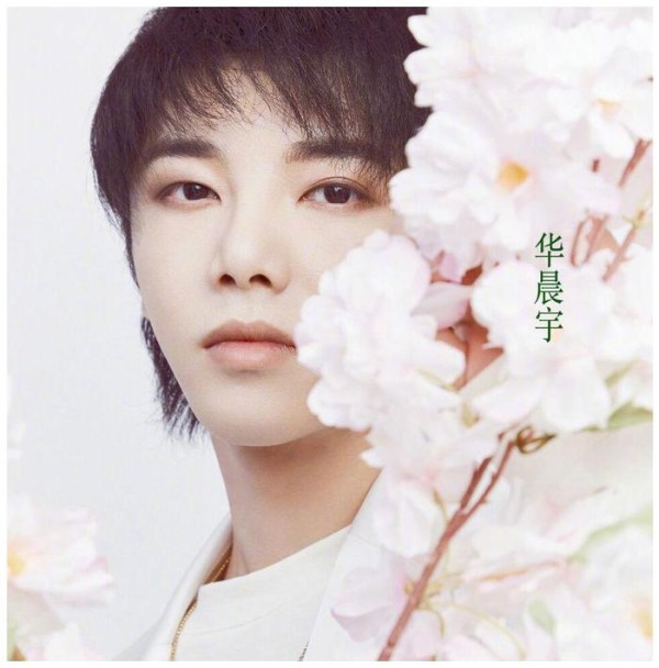又一位知名教授评价华晨宇，这次比较“中肯”，观众受益匪浅