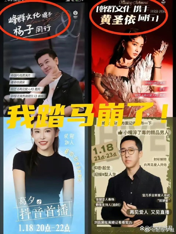 《再见爱人》变BOSS直聘 杨子黄圣依葛夕签约留几手的蜂群文化