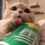 平底锅视频