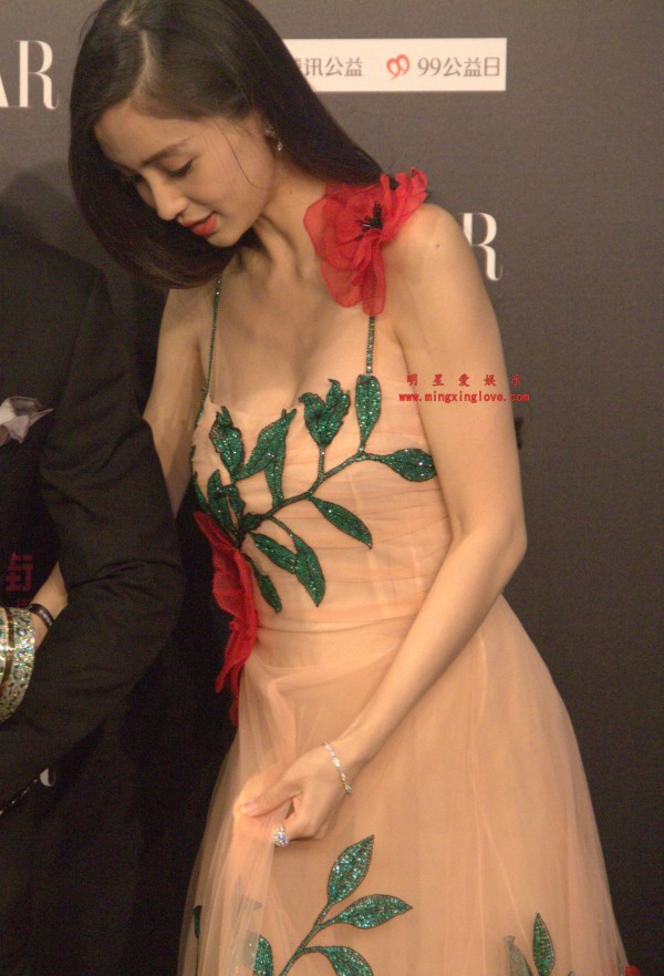 Angelababy、李冰冰、刘诗诗、蔡依林、倪妮、林志玲参加某活动红毯花絮照片，多种造型，单张40M左右，高清4K分辨率原图无修生图下载（至尊）