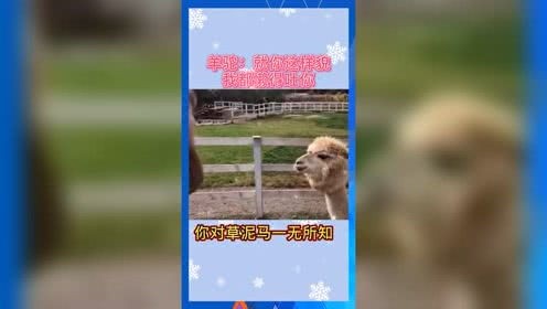 2022年娱乐吃瓜群众,桃色事件、明星丑闻，揭秘娱乐圈背后的真相 第2张