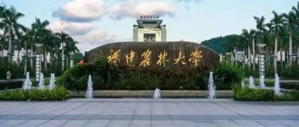 祝贺！福建农林大学3名青年教师