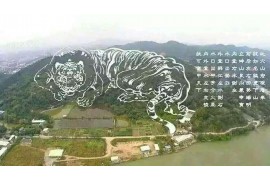 处女座与巨蟹座，星象交织的深情配对