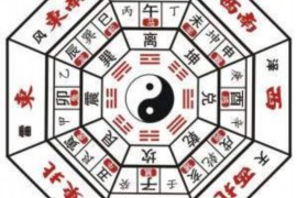 水瓶座最佳配对指南，探索星象中的默契组合