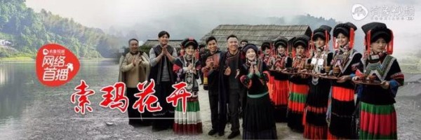 这些千万播放量水准的好剧，全给你搜罗来了！