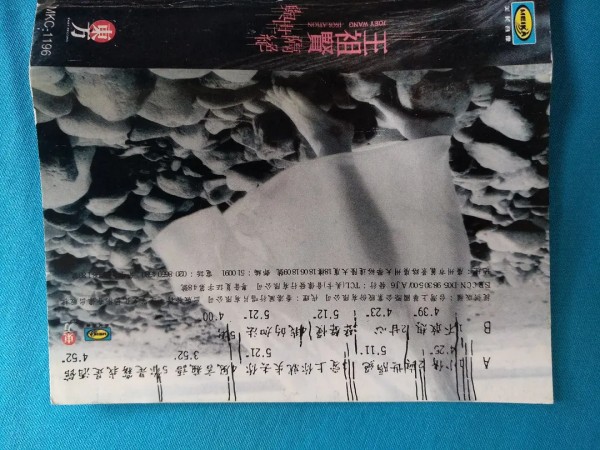 女明星的概念专辑