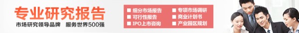 专业研究报告