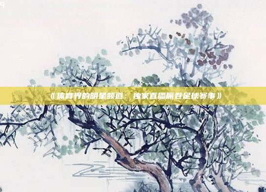 《体育界的明星频道:独家直播席卷足球赛事》