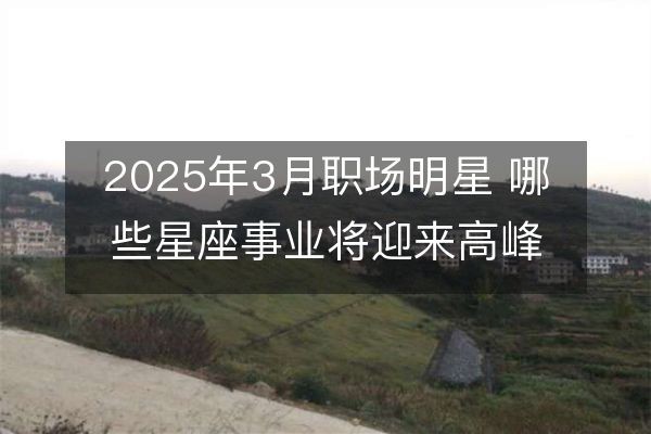 2025年3月职场明星 哪些星座事业将迎来高峰？