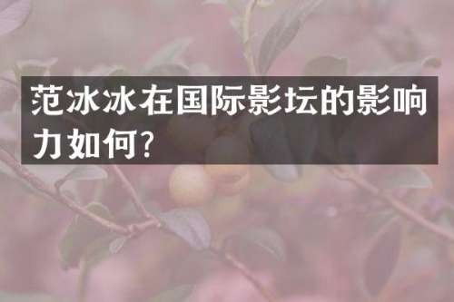在国际影坛的影响力如何？
