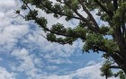 广东天气急转！雷雨大风携降温来，这些事不做要吃亏