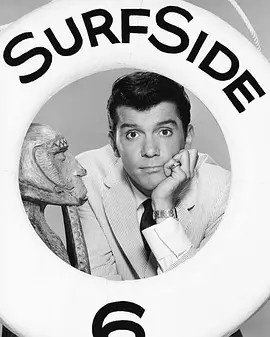 Surfside 6