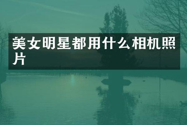 明星都用什么相机照片
