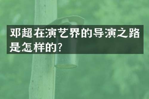 邓超在演艺界的导演之路是怎样的？