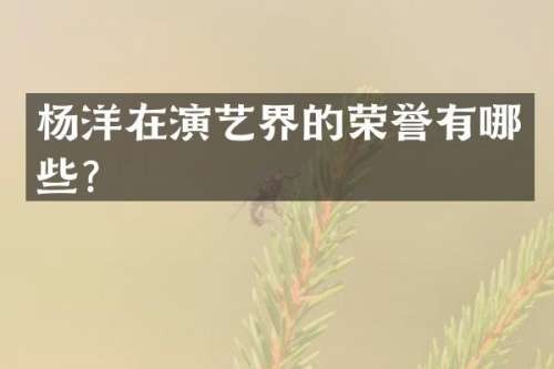 杨洋在演艺界的荣誉有哪些？