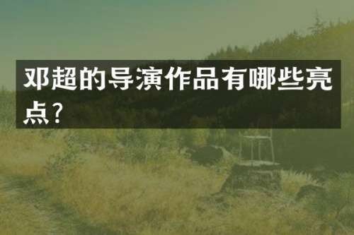邓超的导演作品有哪些亮点？