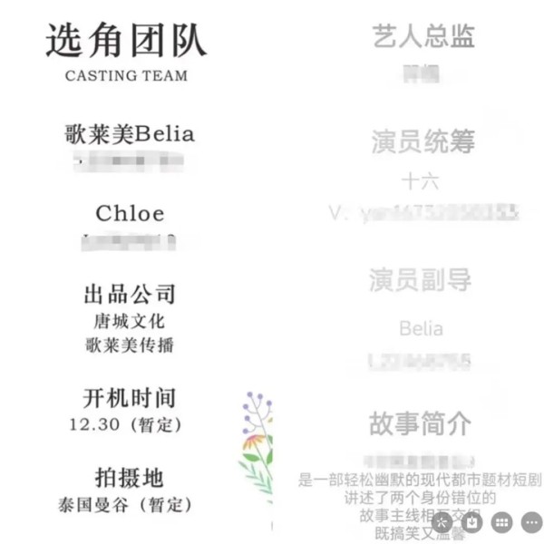 两个项目信息截图