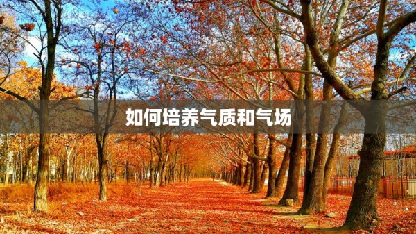 如何培养气质和气场 第1张
