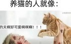 这些梗图，承包了我一年的笑点！