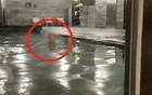 台女子在日本泡温泉连拍21图:其他女性裸体入镜