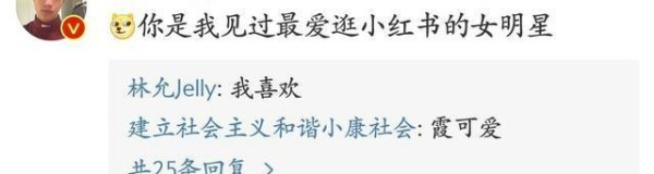 林允自称美妆博主 ，<a target=