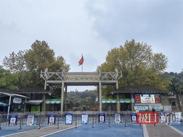“自救”出圈的南京红山动物园：被业界视作国内最好的动物园，有偿“云认养”获巨大关注