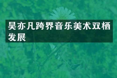 吴亦凡跨界音乐美术双栖发展
