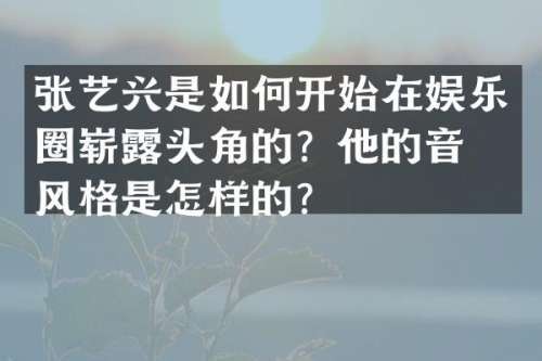 音乐流行歌手
