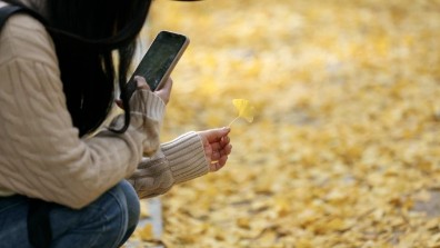 11月8日0时36分将迎来立冬：作别深秋，拥抱冬阳