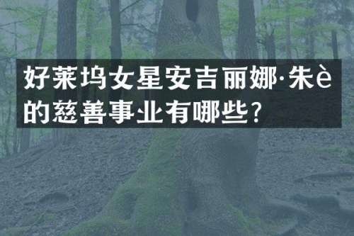 好莱坞女星安吉丽娜·朱莉的慈善事业有哪些？
