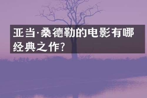 亚当·桑德勒的电影有哪些经典之作？