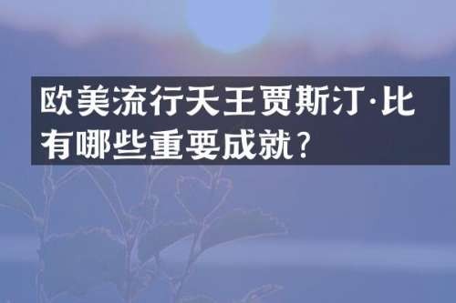 欧美流行天王贾斯汀·比伯有哪些重要成就？