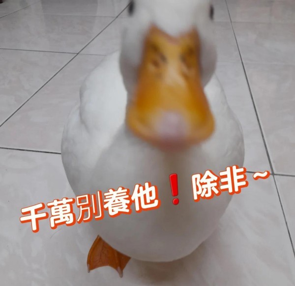 1916年：中国音乐史上的里程碑