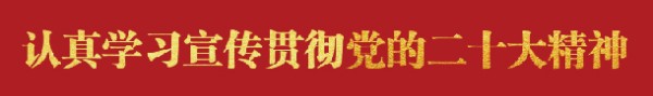 明星足球队巡回赛全城球迷翘首以盼