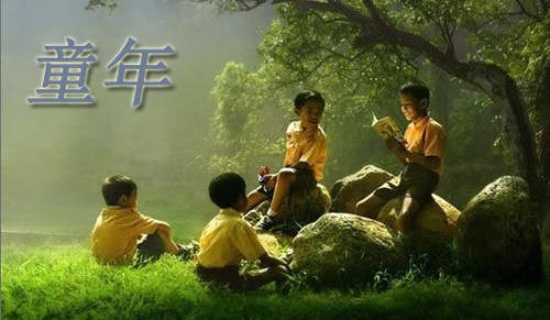 童年的小伙伴作文（精选41篇）