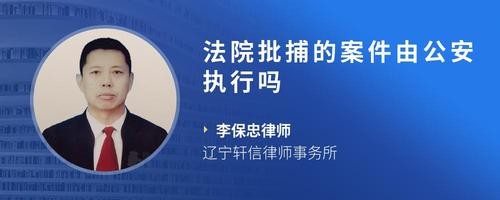 法院批捕的案件由公安执行吗