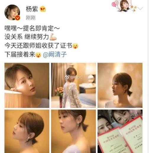 杨紫回应金鹰未获奖太尴尬了，这种自我安慰式也只能做给粉丝看