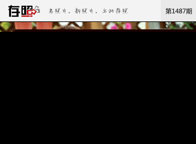 明星们竟因为这些小技能“翻红” 娱乐圈真是个神奇的地方（2）