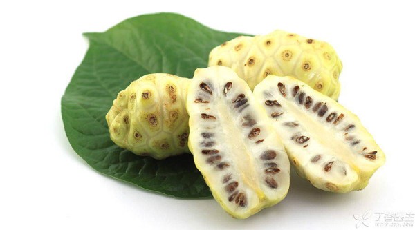 0824-900-noni_看图王.jpg