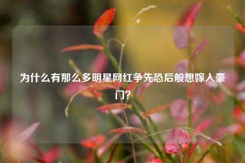 为什么有那么多明星网红争先恐后般想嫁入豪门？-第2张图片-知识问答百科网