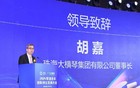 在大横琴任职16年之久！大横琴集团原董事长胡嘉被查