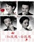 红玫瑰与白玫瑰（明星版） 的海报
