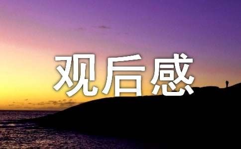 《追梦赤子心》观后感（精选23篇）