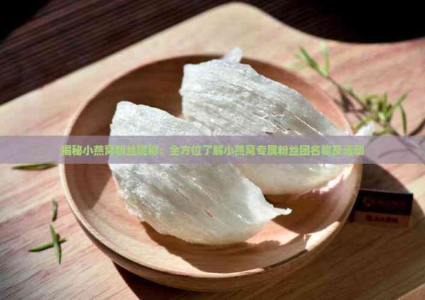揭秘小燕窝粉丝昵称：全方位了解小燕窝专属粉丝团名称及活动